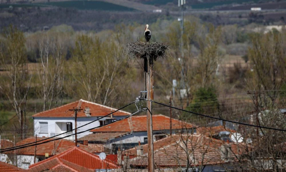 Έκοψαν το επίδομα σε 5μελή ελληνική οικογένεια στο Ορμένιο του Έβρου ενώ μόνο χθες μπούκαραν 124 παράνομοι μετανάστες στην Κάρπαθο (βίντεο)